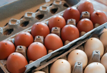 Egg Craft Ideas: How to Blow an Egg Image